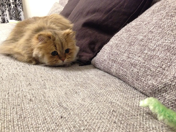 狙って、狙って・・・