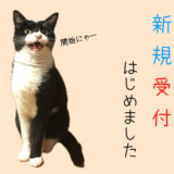 ペットシッター新規受付開始