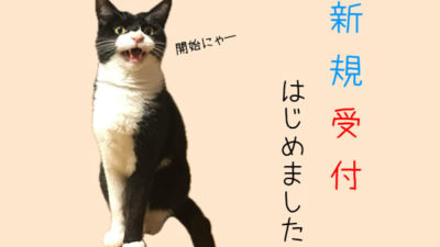 ✿ ご新規様受付再開しました ✿