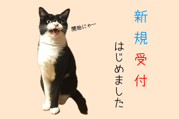 ✿ ご新規様受付再開しました ✿